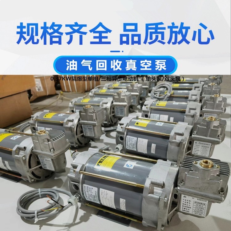 单头泵双头泵隔爆型油气回收真空泵三相380v防爆电机037kw