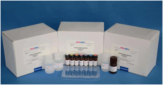 大鼠血管生成素2(ANG-2)ELISA检测试剂盒