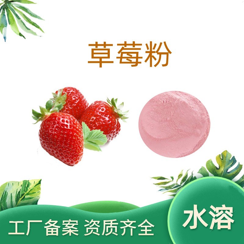草莓粉 草莓果汁粉 速溶浓缩粉