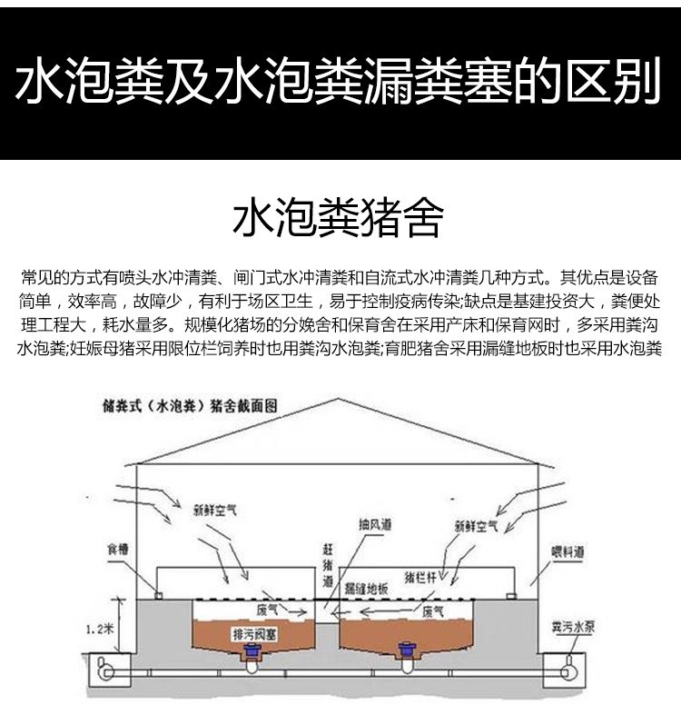 猪场排粪沟设计图片图片