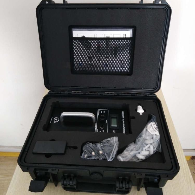 离子代理一级汞监测仪MVI-DL环境汞检测仪便携式汞蒸气检测仪带存储