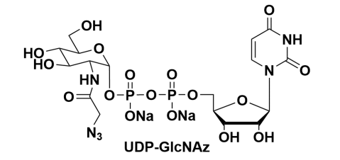 UDP-Azido-GlcNAc