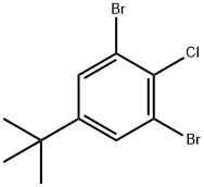 3,5-二溴-4-氯叔丁基苯 CAS：1000578-25-5 现货供应 高校研究所 先发后付