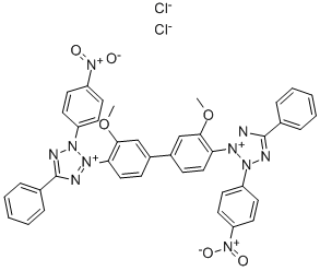 氯化硝基四氮唑兰(NBT) CAS：298-83-9 现货供应 高校研究所 先发后付