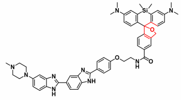 瑞禧科研用5-hmsir-hochest荧光染料