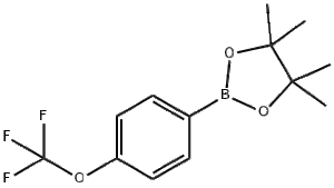 4-三氟甲氧基苯硼酸频呢醇酯；CAS：474709-28-9 现货供应 高校研究所 先发后付