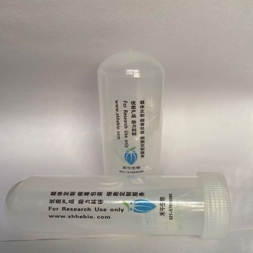 Recombinant Rat Fractalkine protein(Cx3cl1)活性蛋白