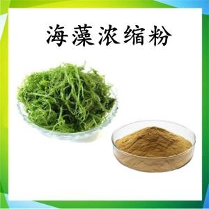 海藻速溶粉 海藻浓缩粉 可定制 水溶 包邮