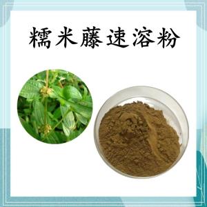 糯米藤速溶粉 糯米藤浓缩粉 可定制 水溶 包邮