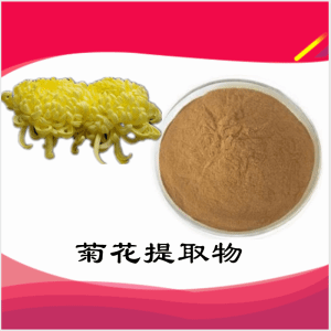 菊花提取物  菊花浓缩粉  可定制  水溶  包邮