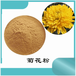 菊花粉 菊花提取物    水溶 可定制