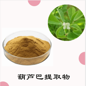 葫芦巴提取物  葫芦巴浓缩粉  可定制  水溶 包邮