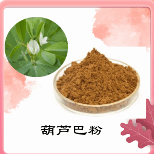 葫芦巴粉  葫芦巴提取物    水溶 可定制