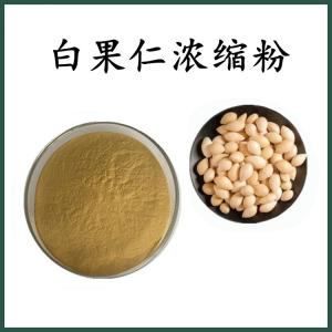白果仁浓缩粉 白果仁粉 可定制 水溶 包邮