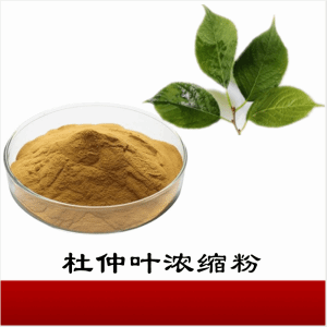 杜仲叶浓缩粉  杜仲叶粉  可定制   包邮