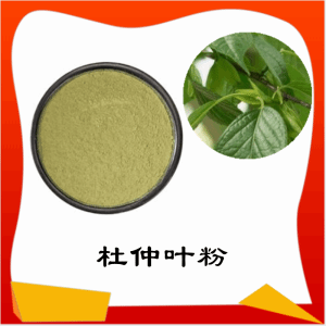 杜仲叶粉 杜仲叶提取物    水溶 可定制