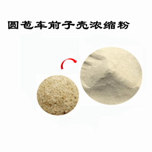 圆苞车前子壳浓缩粉  喷雾干燥粉  六盘韵