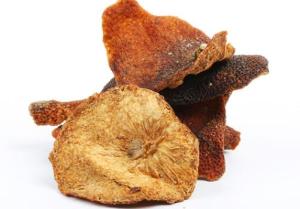 橘皮粗提取物  橘皮提取物  包邮  可定制