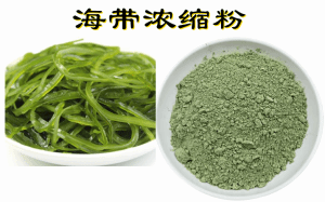 海带浓缩粉   喷雾干燥法  六盘韵