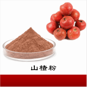 山楂粉  山楂提取物 可定制  包邮