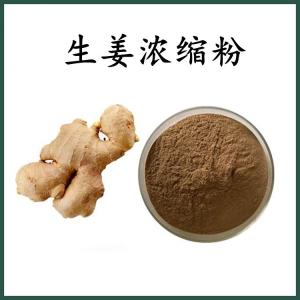 生姜 浓缩粉 生姜粉 可定制 水溶 包邮