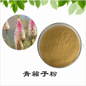 青箱子粉  青箱子提取物  可定制  水溶