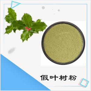 假叶树粉   假叶树提取物  可定制 水溶