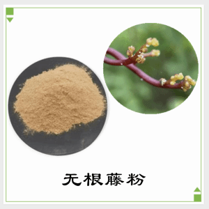 无根藤粉  无根藤提取物 可定制  水溶