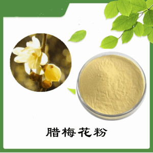 腊梅花粉   腊梅花提取物   可定制  水溶