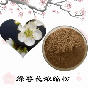 绿萼花浓缩粉  绿萼花粉  可定制  包邮