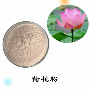 荷花粉   荷花提取物  可定制  水溶