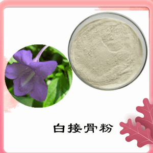 白接骨粉  白接骨提取物  可定制  水溶