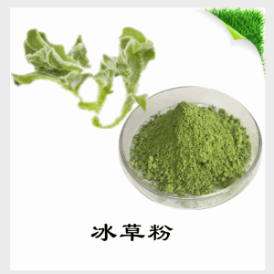 冰草粉  冰草提取物   可定制  水溶