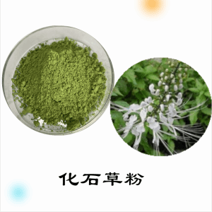 化石草粉  化石草提取物   可定制  水溶