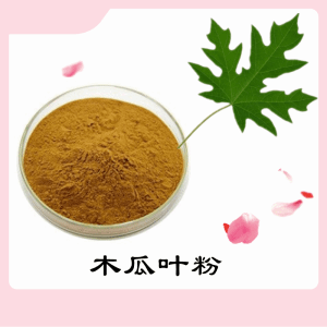 木瓜叶粉  木瓜叶提取物   可定制 水溶