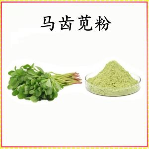 马齿苋粉 马齿苋提取物 可定制 水溶 包邮