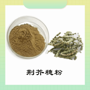荆芥穗粉  荆芥穗提取物   可定制 水溶