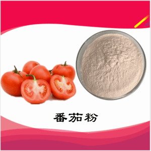 番茄粉  番茄提取物   可定制 水溶