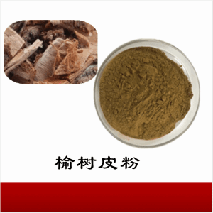榆树皮粉   榆树皮提取物  可定制  水溶