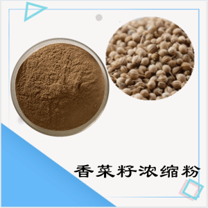 香菜籽浓缩粉    香菜籽粉  可定制   包邮