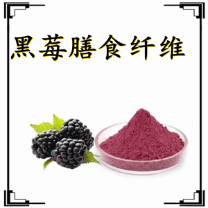 黑莓膳食纤维粉  支持免费取样   六盘韵