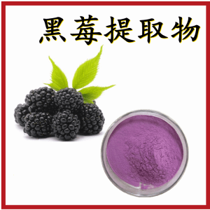 黑莓提取物  桑葚提取物   比例提取 六盘韵