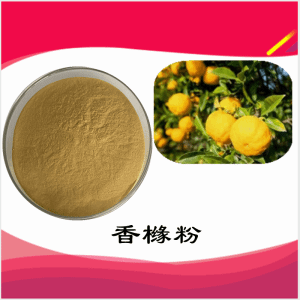 香橼粉   香橼提取物   可定制  水溶