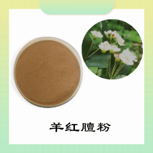 羊红膻粉  羊红膻提取物    可定制   水溶