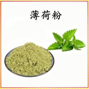 薄荷 粉 薄荷提取物 可定制 水溶 包邮