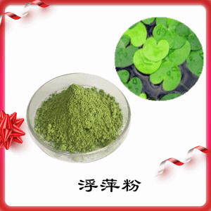 浮萍粉    浮萍提取物   可定制  水溶