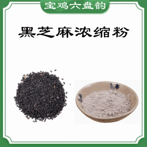 黑芝麻浓缩粉  六盘韵  喷雾干燥法