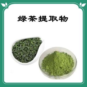 绿茶提取物   六盘韵  各种规格可定制