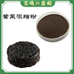 紫菜浓缩粉  喷雾干燥法  六盘韵
