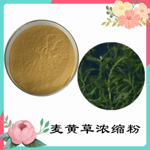 麦黄草浓缩粉     麦黄草粉    可定制   包邮